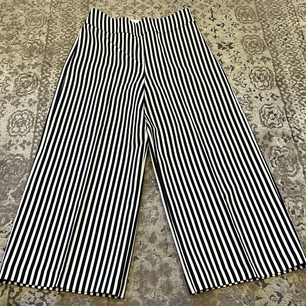 Express Side Zip Pant